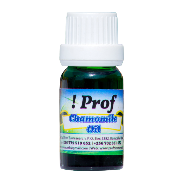 chamomile